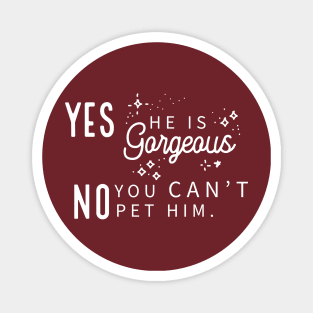 Yes He Is Gorgeous, No You Can't Pet Him - Dark Shirt Version Magnet